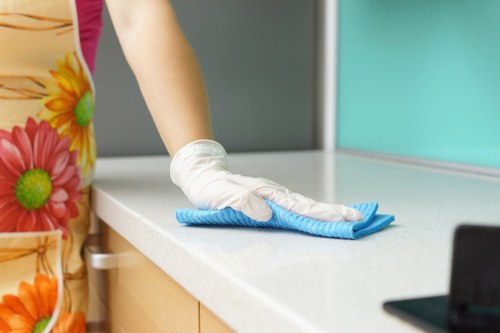 Regular cleaning service for a modern Elephant and Castle apartment