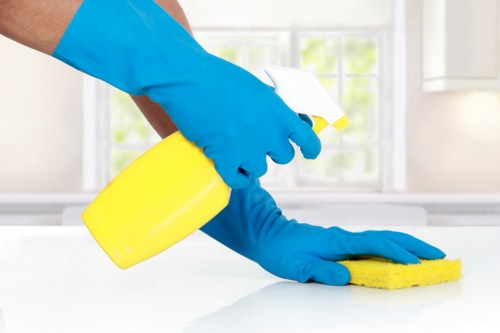 Local gutter cleaning service for homes and flats in Elephantandcastle