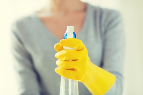 Flexible home cleaning for apartments and rental properties near Elephantandcastle