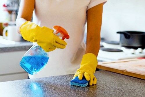 Local mattress cleaning process for apartments and rental properties in Elephant and Castle