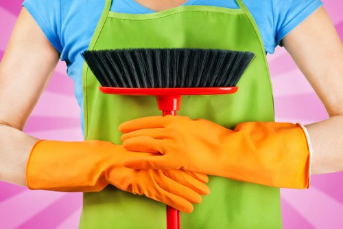 Domestic cleaning service for a modern apartment in Elephant and Castle
