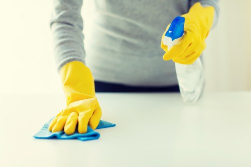 Routine gutter cleaning service for local properties around Elephantandcastle
