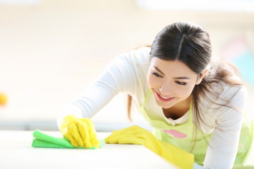 Move-out cleaning for a modern apartment near Elephant and Castle