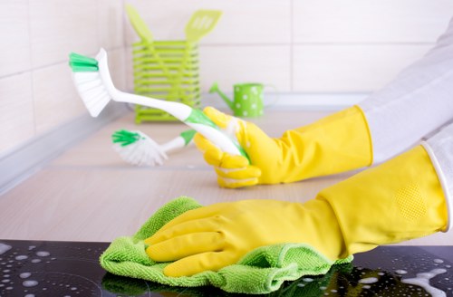 Professional gutter clearing and downpipe maintenance in Elephantandcastle