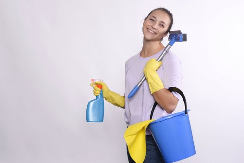 Regular domestic cleaning support for busy homes in Elephant and Castle