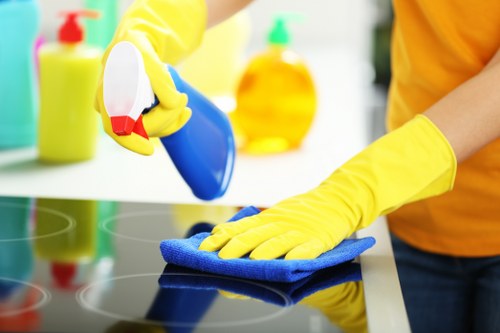 Preparing a building facade for safe cleaning in Elephant and Castle