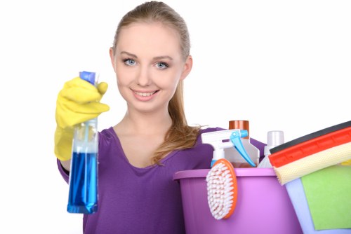 Professional carpet cleaning service for busy local properties